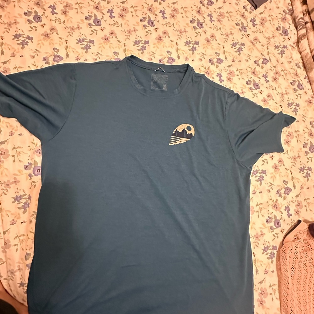 Patagonia Teal Short-Sleeve Graphic Crewneck Tee